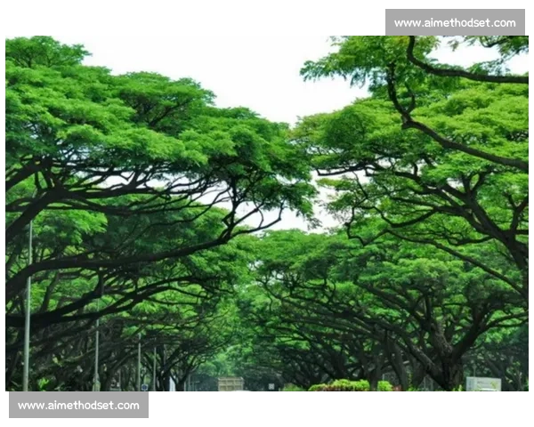 在三分雨下的时刻里城市与人心缓慢生长与重逢的故事