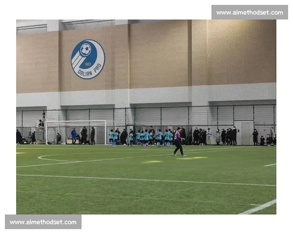 名宿发声：深度剖析当前足球发展困境与未来路径